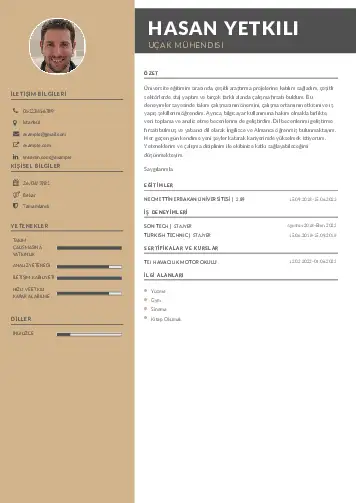 Havacılık Ve Uzay Uçak Mühendisi Cv Örnekleri cv indir